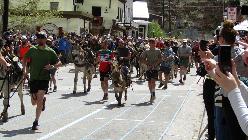 Fans take photos and movies as the burro racers start the race.